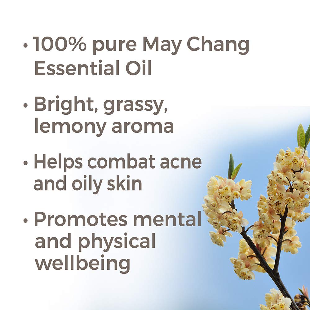 Plant Therapy May Chang Essential Oil - OilyPod