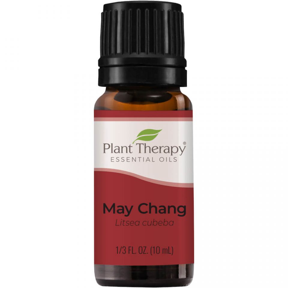 Plant Therapy May Chang Essential Oil - OilyPod