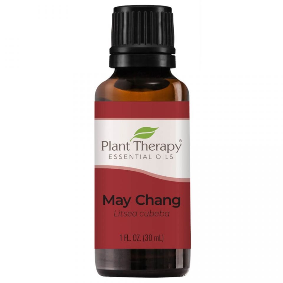 Plant Therapy May Chang Essential Oil - OilyPod