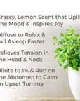 Plant Therapy Melissa Essential Oil - OilyPod