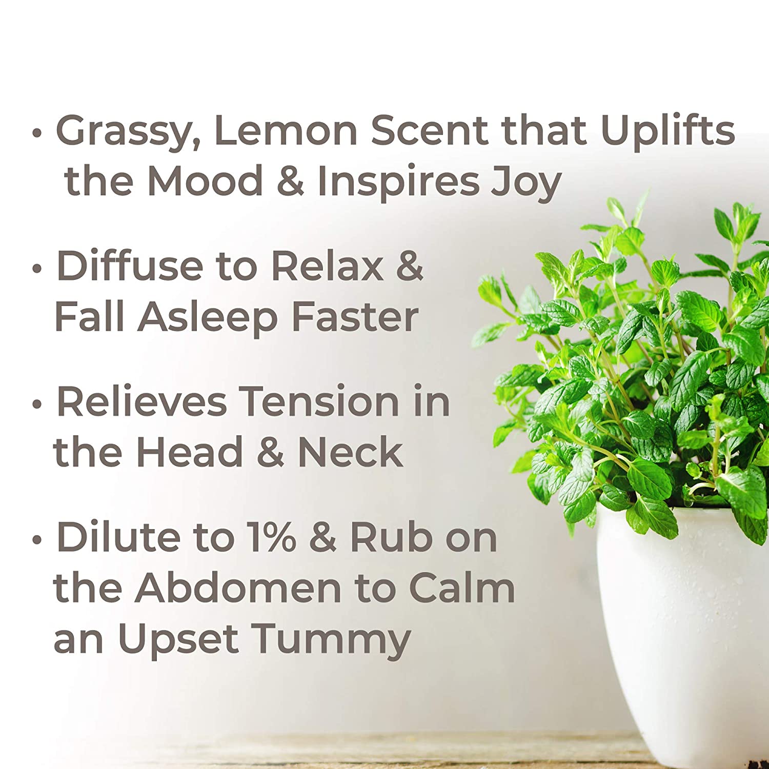 Plant Therapy Melissa Organic Essential Oil - OilyPod
