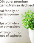 Plant Therapy Melissa Organic Hydrosol - OilyPod