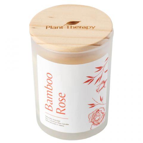 Plant Therapy Naturally Scented Candle - OilyPod