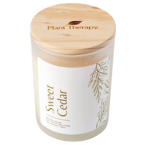 Plant Therapy Naturally Scented Candle - OilyPod
