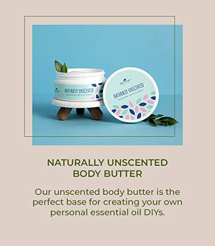 Plant Therapy Naturally Unscented Body Butter - OilyPod