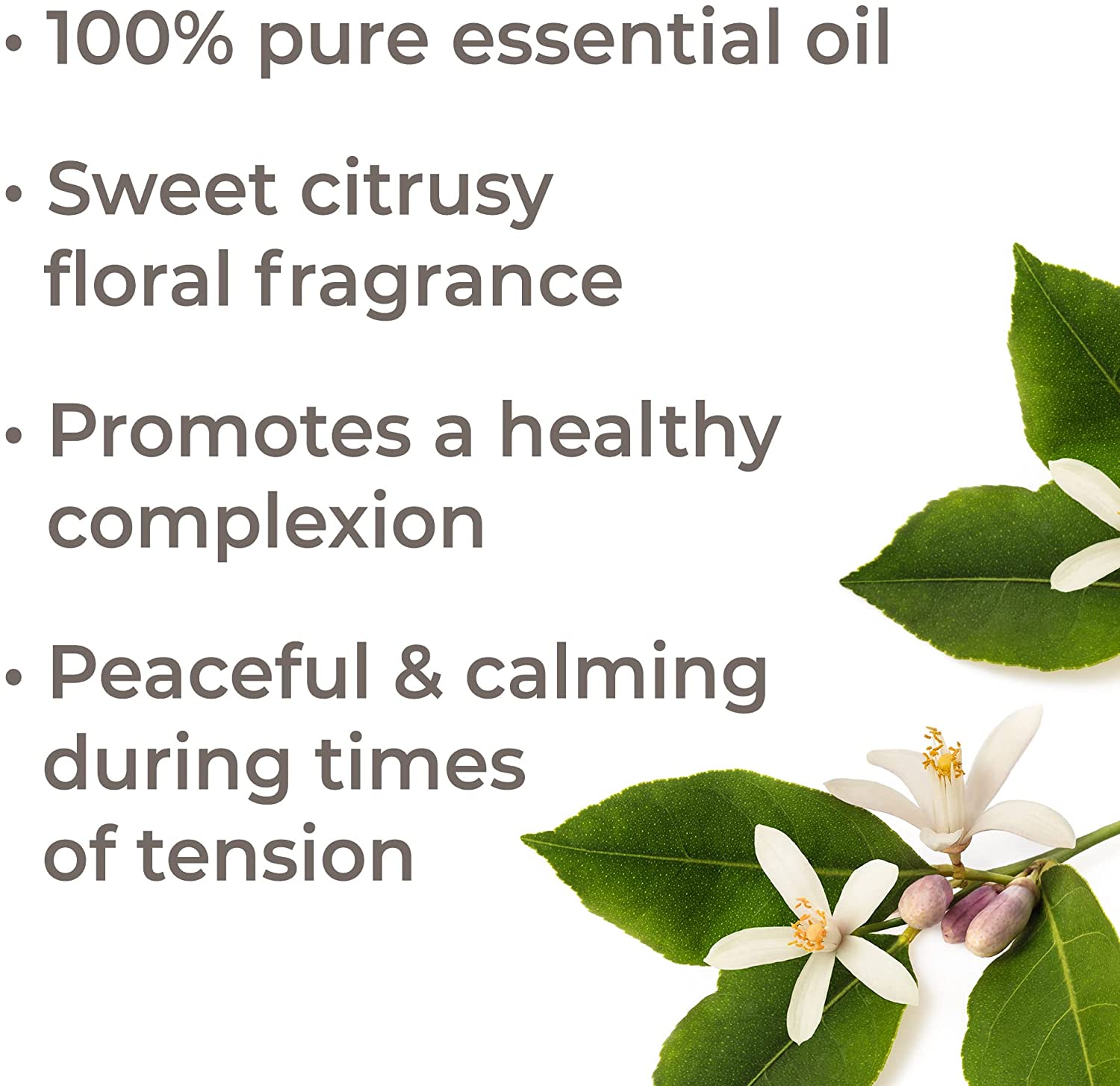 Plant Therapy Neroli Essential Oil - OilyPod