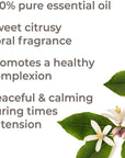 Plant Therapy Neroli Essential Oil - OilyPod