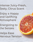 Plant Therapy Orange Blood Organic Essential Oil - OilyPod