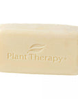 Plant Therapy Organic Shea Butter - OilyPod