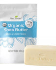 Plant Therapy Organic Shea Butter - OilyPod