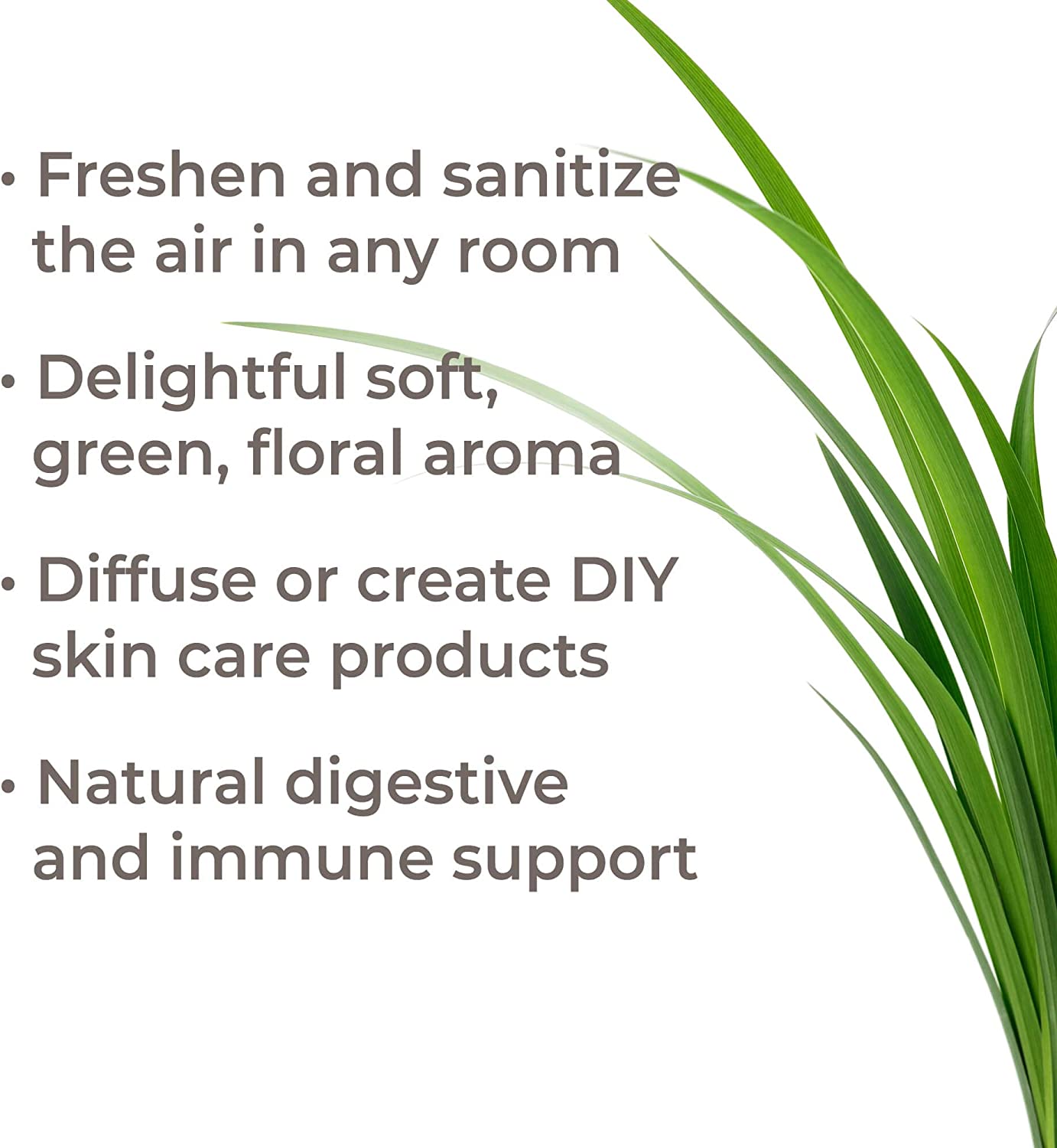 Plant Therapy Palmarosa Essential Oil - OilyPod