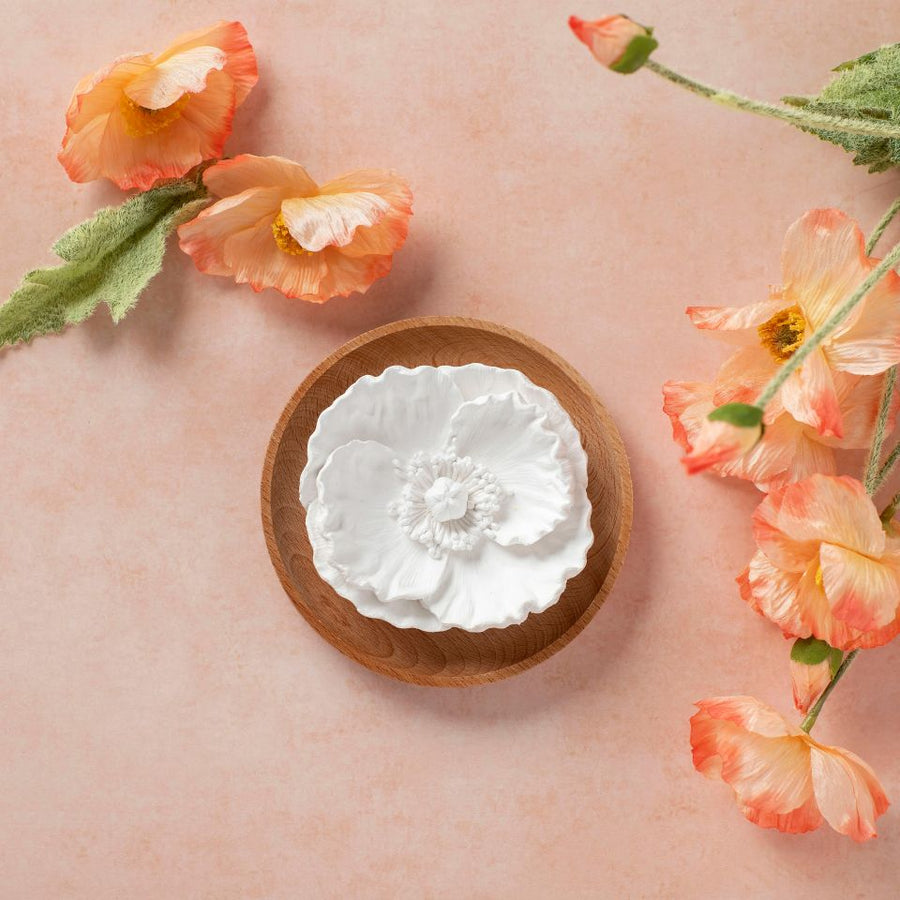 Plant Therapy Passive Diffuser – OilyPod