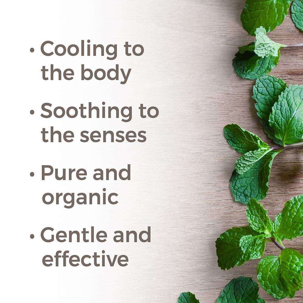 Plant Therapy Peppermint Organic Hydrosol - OilyPod