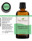 Plant Therapy Peppermint Western US Essential Oil - OilyPod