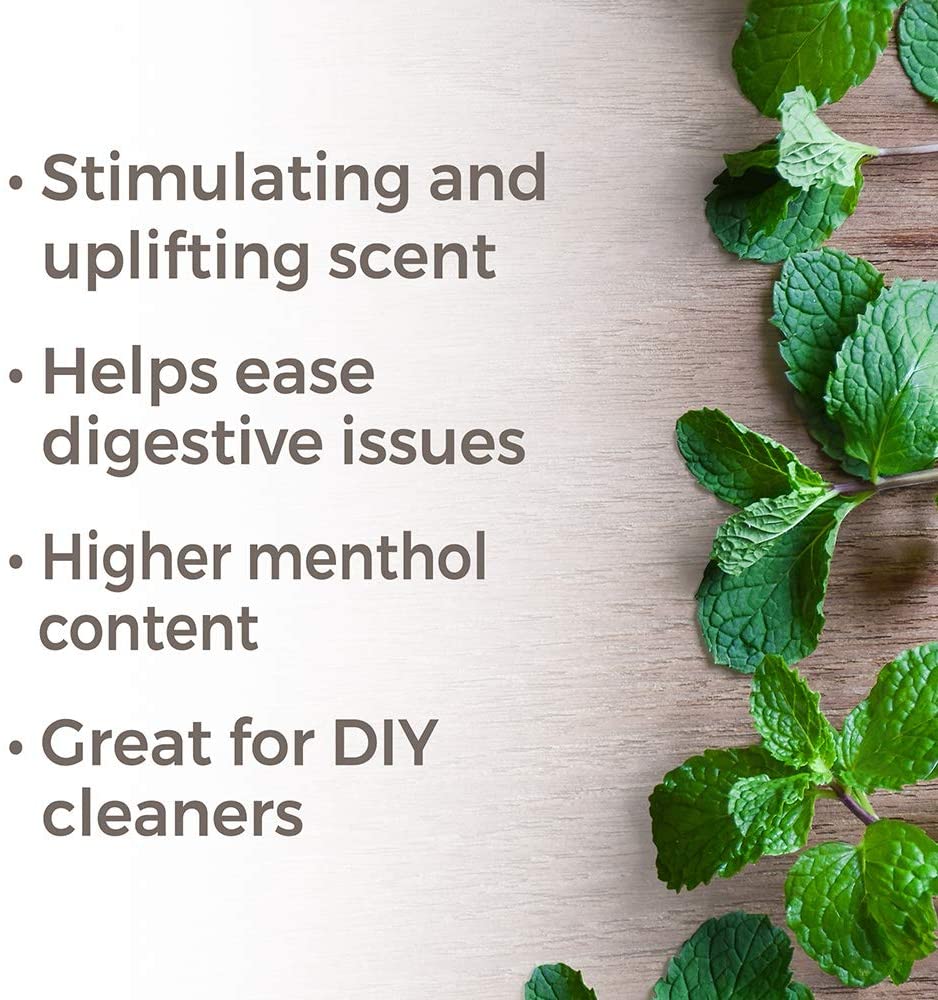 Plant Therapy Peppermint Western US Essential Oil - OilyPod