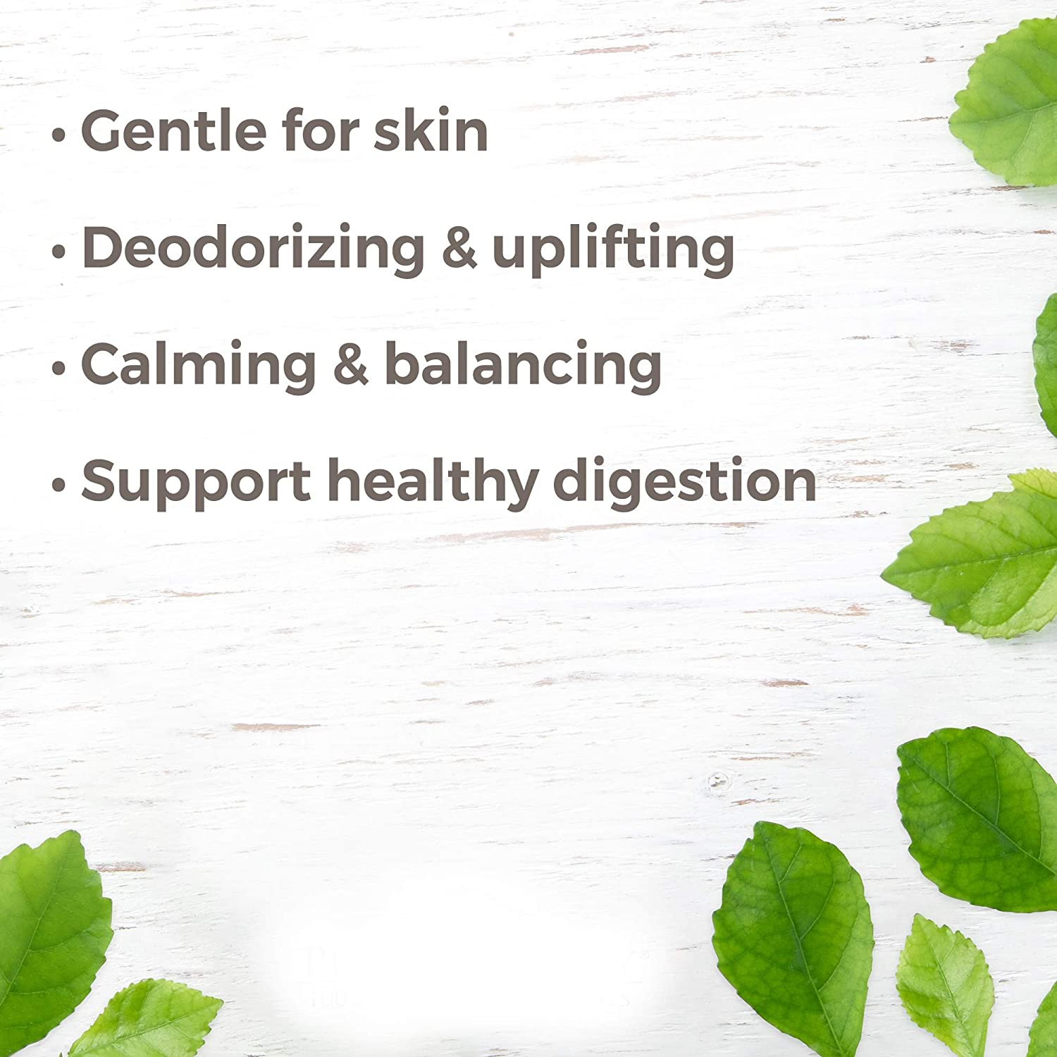 Plant Therapy Petitgrain Essential Oil - OilyPod