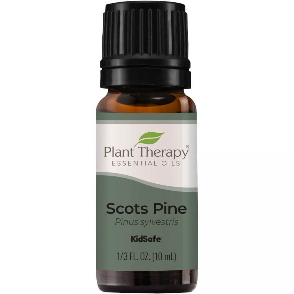 Plant Therapy Pine Scots Essential Oil - OilyPod