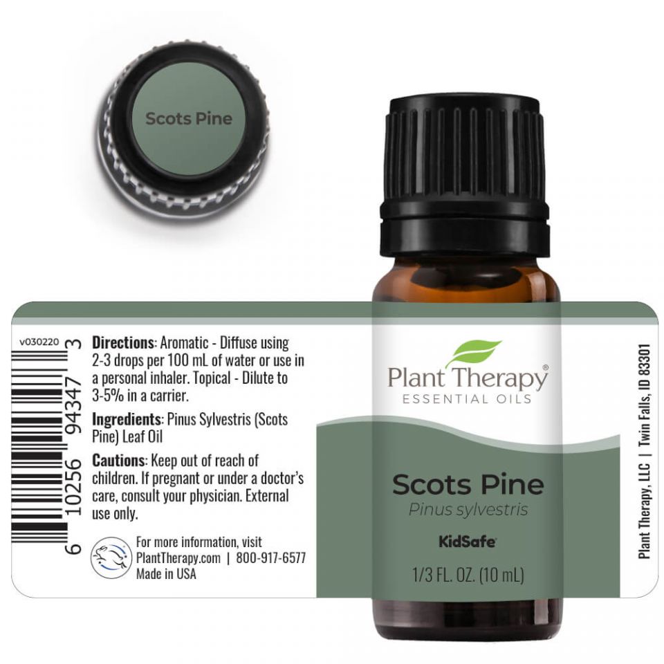 Plant Therapy Pine Scots Essential Oil - OilyPod