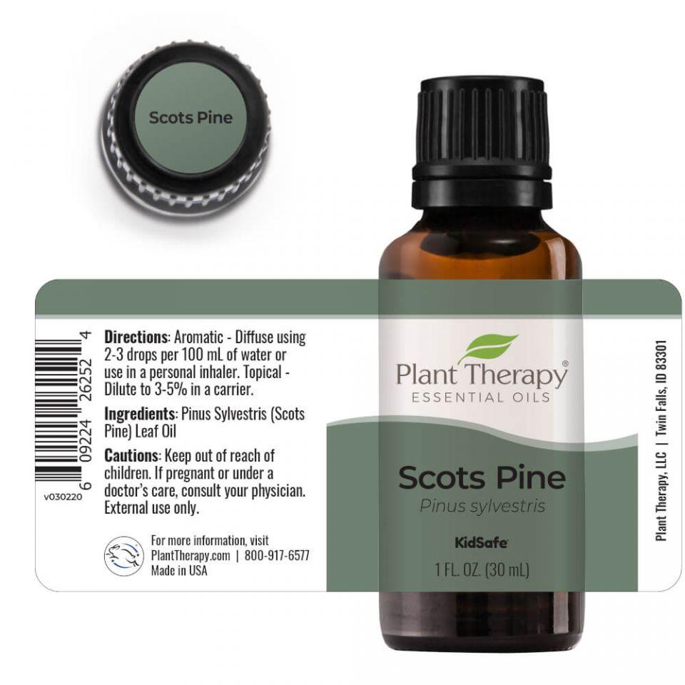 Plant Therapy Pine Scots Essential Oil - OilyPod