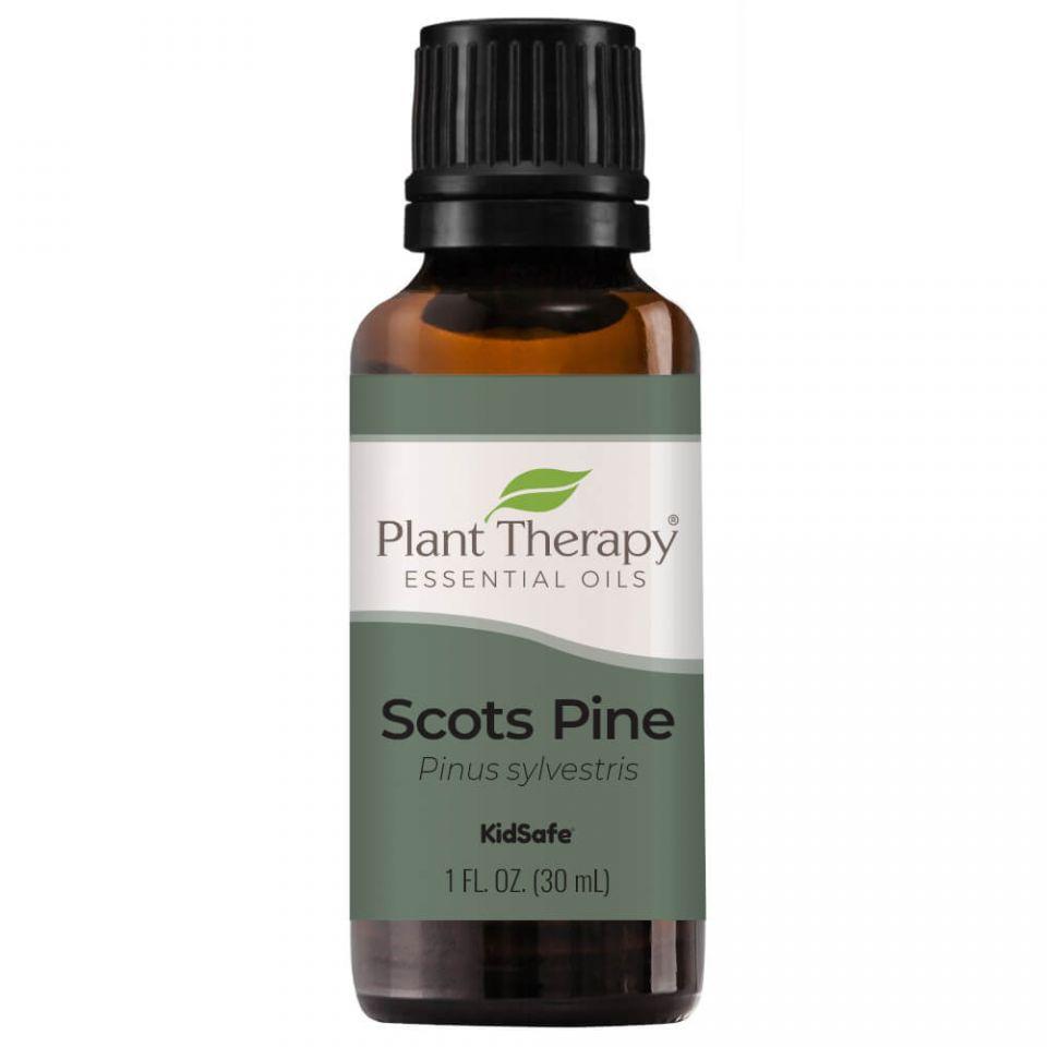 Plant Therapy Pine Scots Essential Oil - OilyPod
