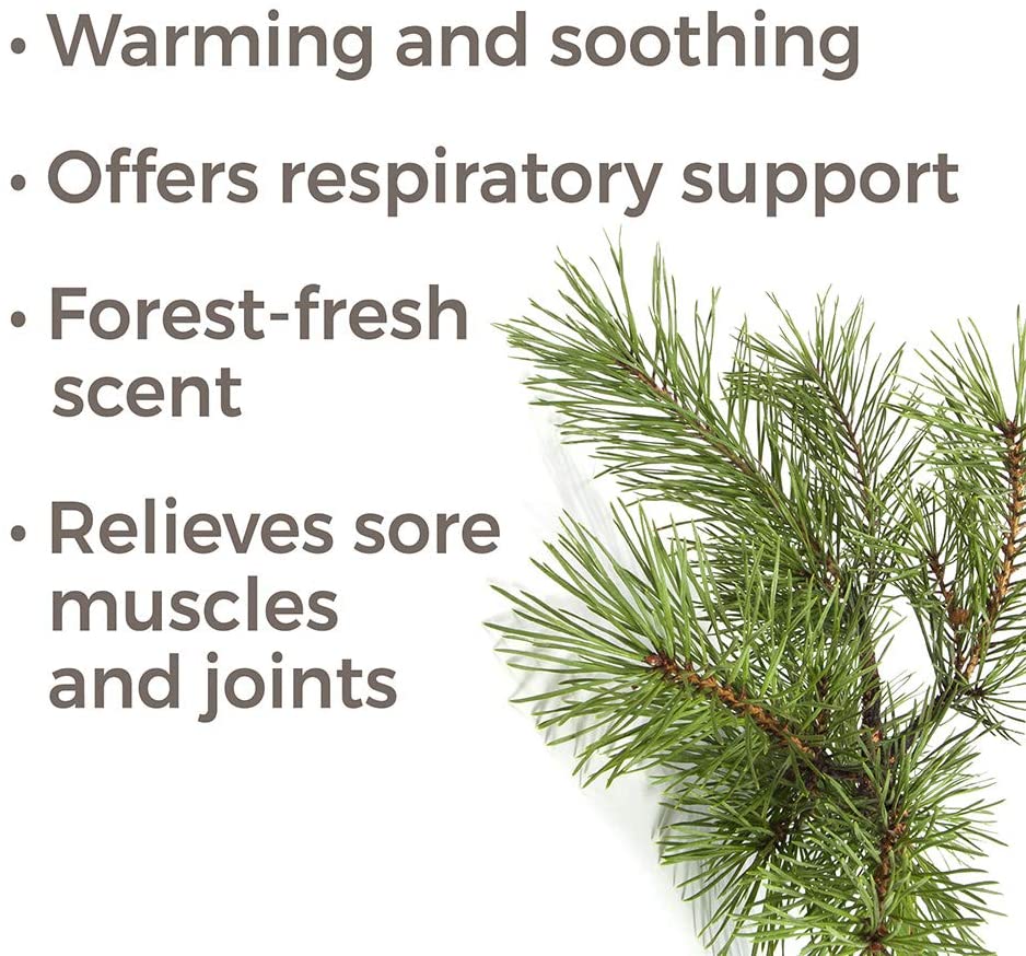 Plant Therapy Pine Scots Essential Oil - OilyPod