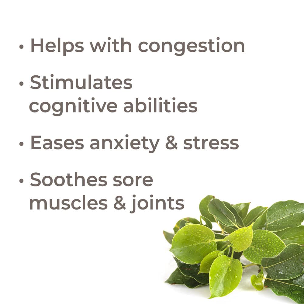 Plant Therapy Ravintsara Essential Oil - OilyPod