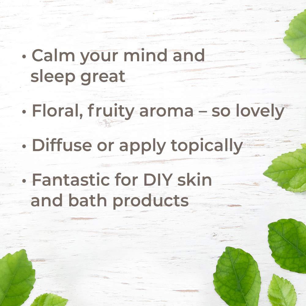 Plant Therapy Relax Essential Oil Blend - OilyPod