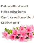 Plant Therapy Rhododendron Essential Oil - OilyPod