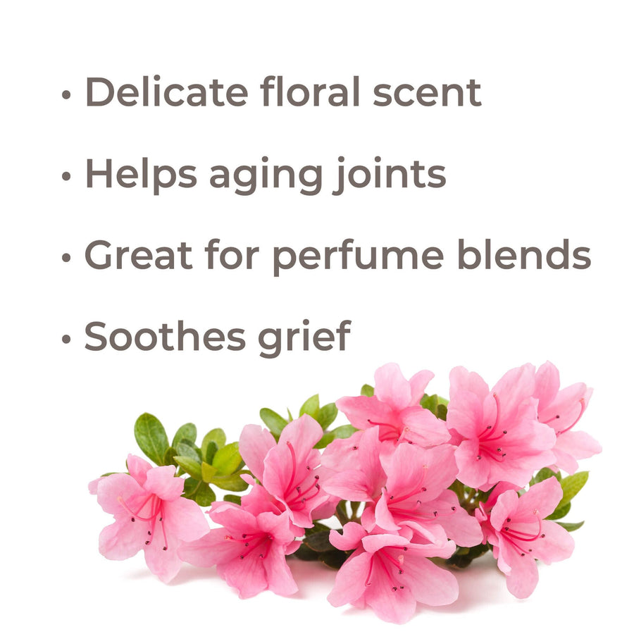 Plant Therapy Rhododendron Essential Oil - OilyPod