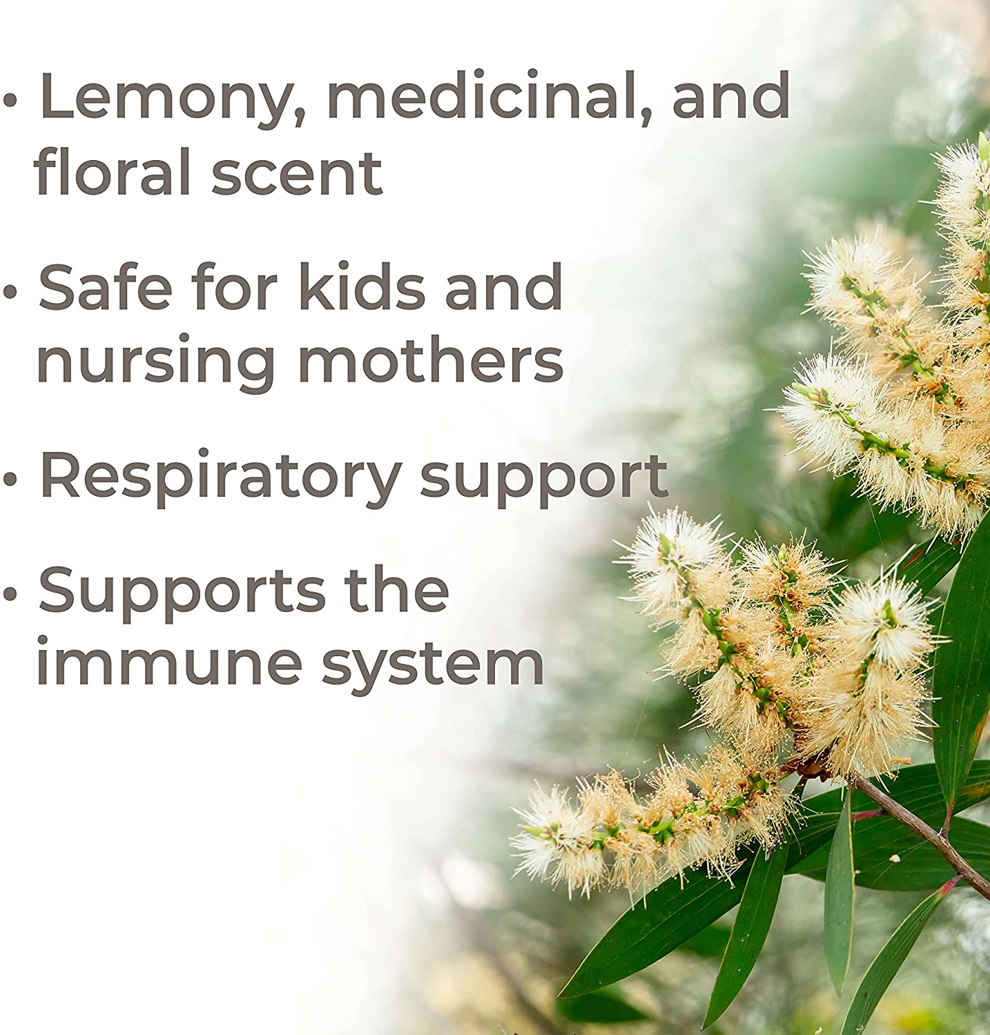 Plant Therapy Rosalina Essential Oil - OilyPod