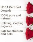 Plant Therapy Rose Organic Hydrosol - OilyPod