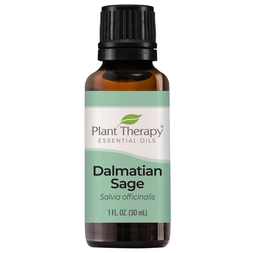 Plant Therapy Sage Dalmatian Essential Oil - OilyPod