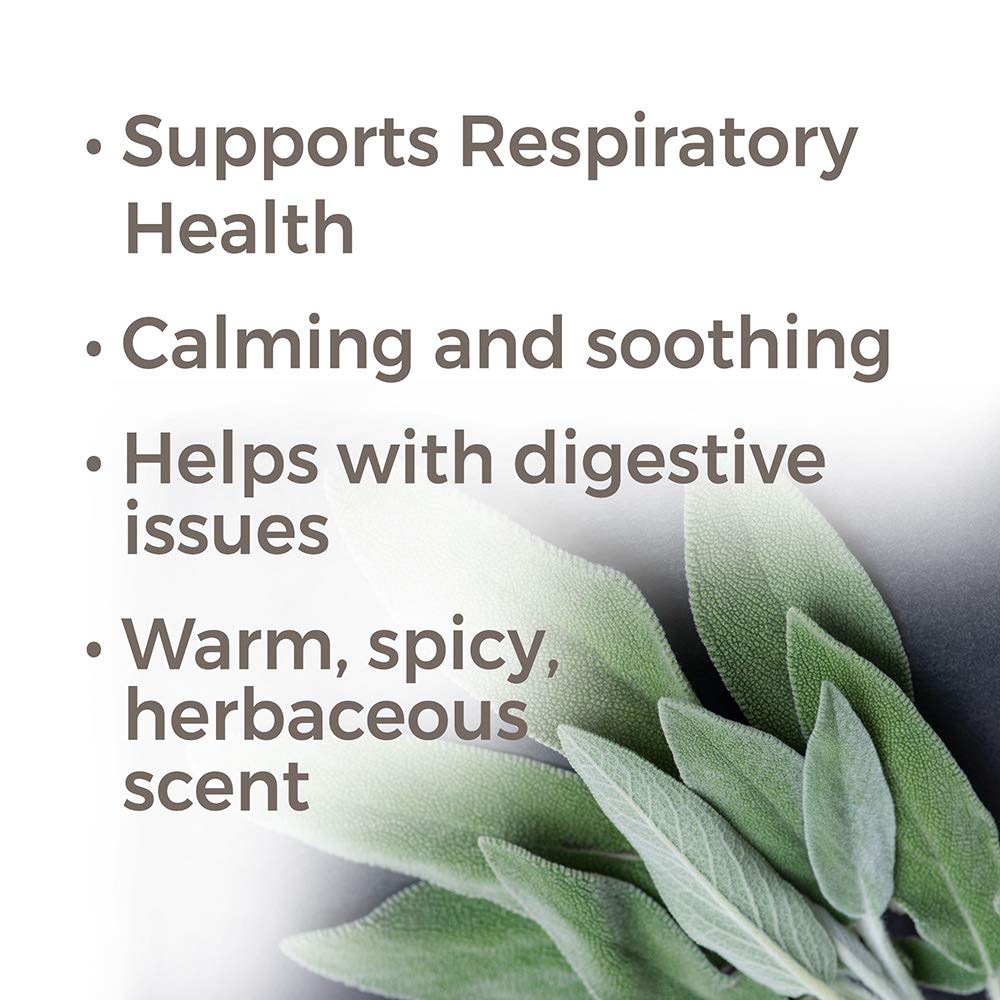 Plant Therapy Sage Dalmatian Essential Oil - OilyPod