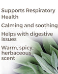 Plant Therapy Sage Dalmatian Essential Oil - OilyPod