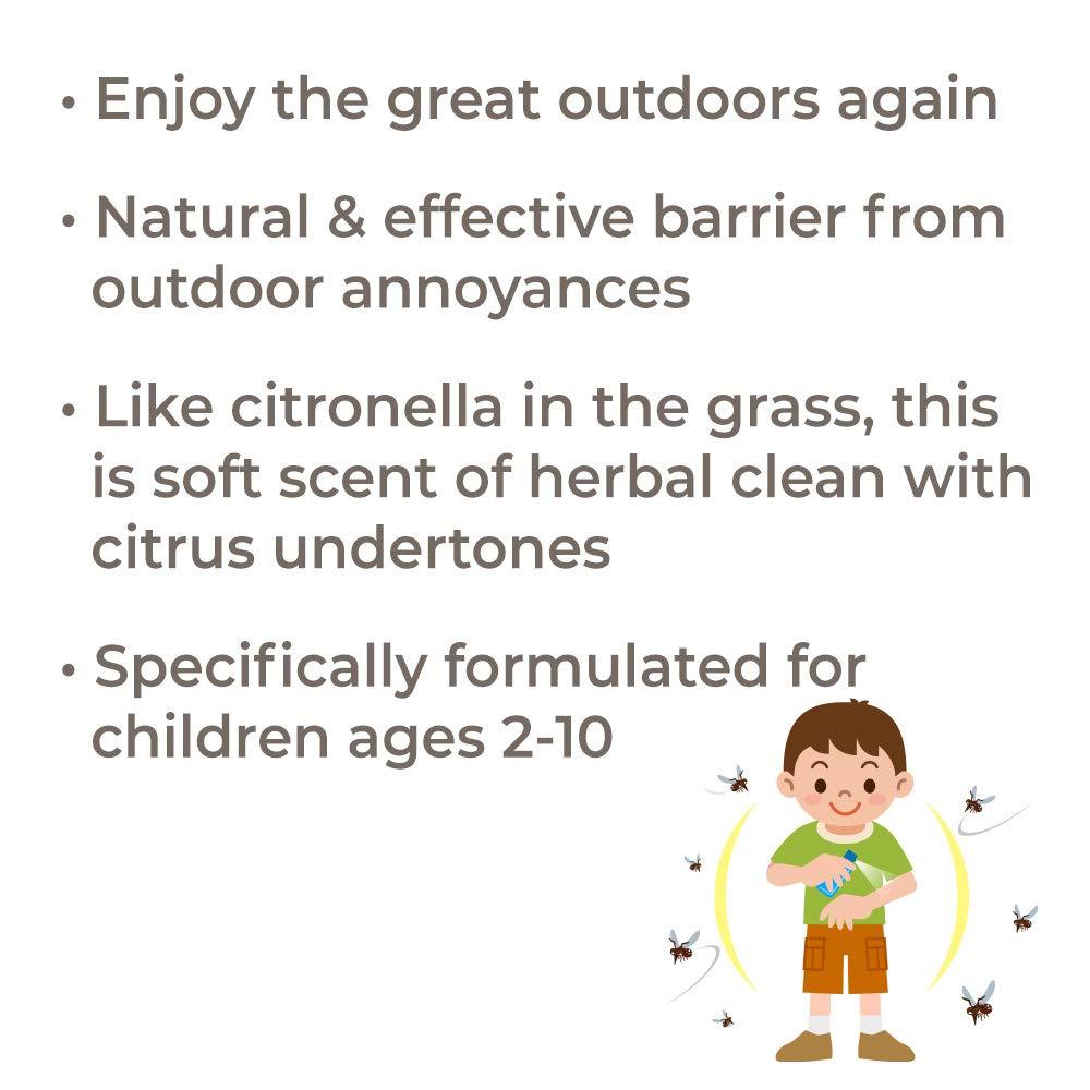 Plant Therapy Shield Me Organic Essential Oil 10ml - OilyPod