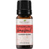 Plant Therapy Sparkling Laundry Blends - OilyPod
