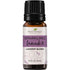 Plant Therapy Sparkling Laundry Blends - OilyPod