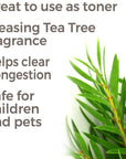 Plant Therapy Tea Tree Organic Hydrosol - OilyPod
