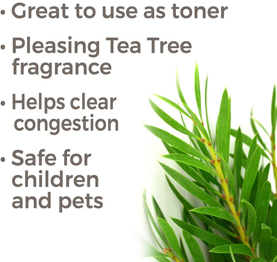 Plant Therapy Tea Tree Organic Hydrosol - OilyPod