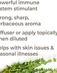 Plant Therapy Thyme Thymol Essential Oil - OilyPod
