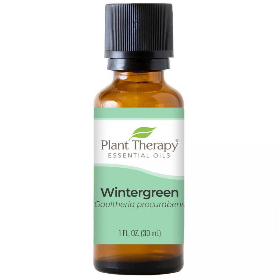 Plant Therapy Wintergreen Essential Oil - OilyPod