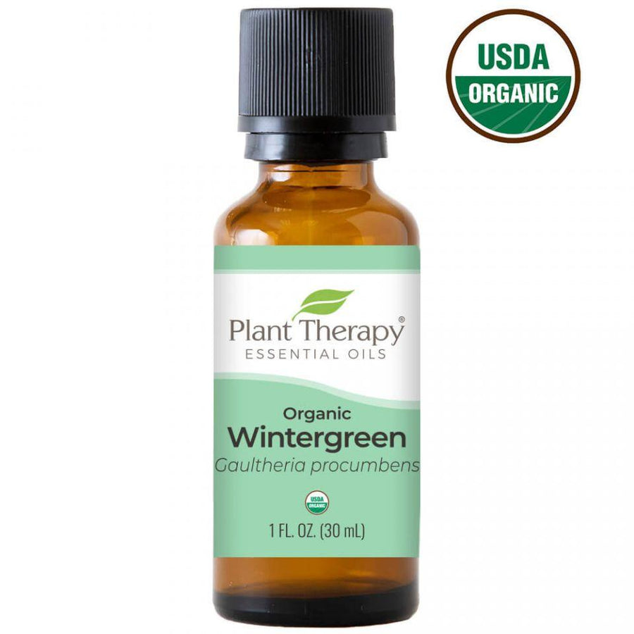 Plant Therapy Wintergreen Organic Essential Oil - OilyPod