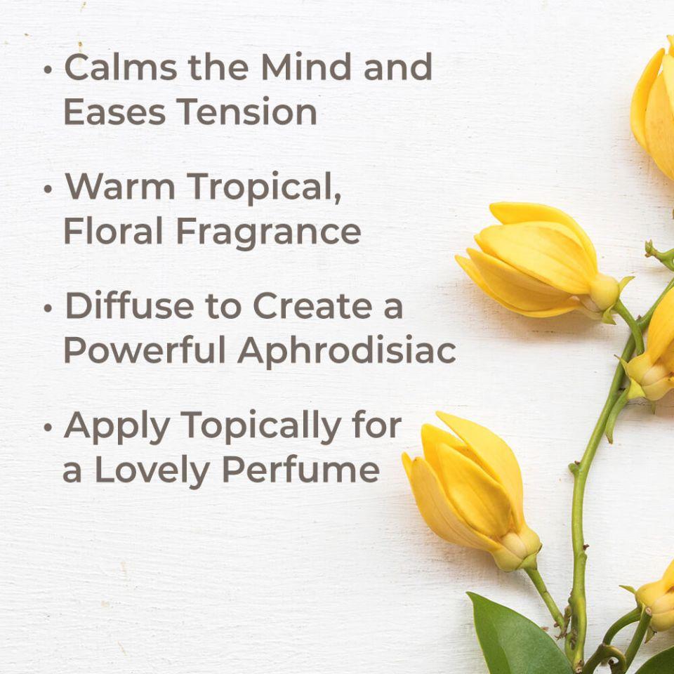 Plant Therapy Ylang Ylang Extra Essential Oil - OilyPod
