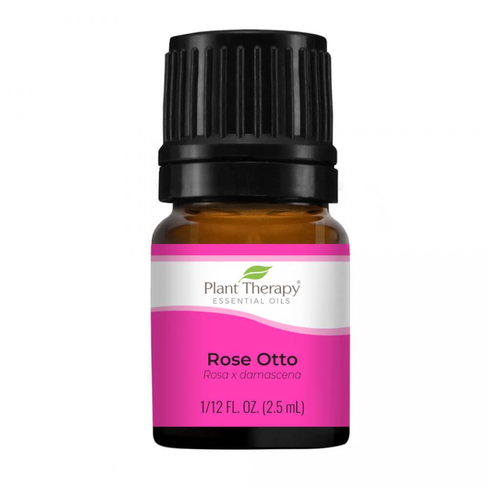 Plant Therapy Rose Otto Essential Oil