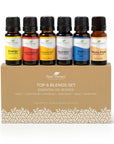 Plant Therapy Top 6 Blends Set